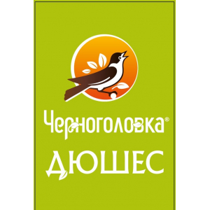 Концентрат для напитка ЧЕРНОГОЛОВКА Дюшес, 10л, BIB