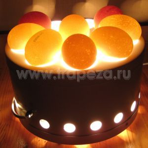 Овоскоп Новые Технологии ОН-10