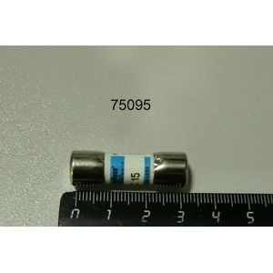 Предохранитель плавкий на 15А 600В Lang Manufacturing 2E-30900-10