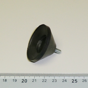 Category Image
