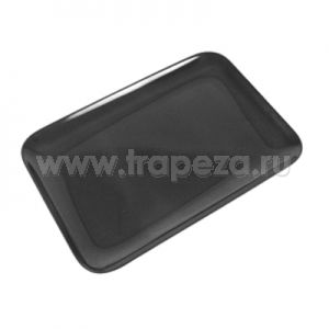Поднос для выкладки L 20см w 29см DALEBROOK TB123